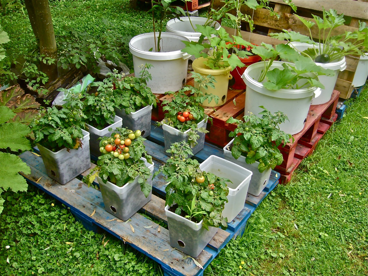 10 Tips for Container Farming